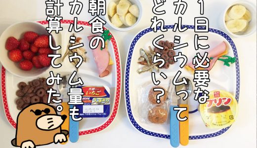 1日のカルシウム摂取量は？1食分を計算してみた｜子供(４歳＆５歳)の朝ごはん｜今週のテーマ『カルシウムPart2』