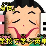 小学校で学ぶ英単語（身体）