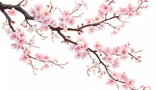 美しい桜｜背景画像｜無料イラスト素材