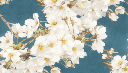 青空に映える白い桜｜背景画像｜無料イラスト素材