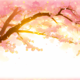 太陽の光に映える満開の桜の木｜背景画像｜無料イラスト素材
