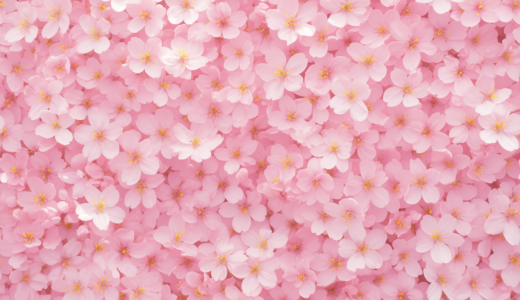 一面が桜で埋め尽くされたイラスト｜背景画像｜無料イラスト素材