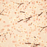 ピンクが眩い桜の木／背景画像／フリー素材