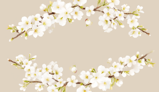 白い桜。中央にタイトル入れ。｜背景画像｜無料イラスト素材